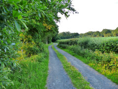 
Tophill Colliery tramway to GWR sidings, July 2013